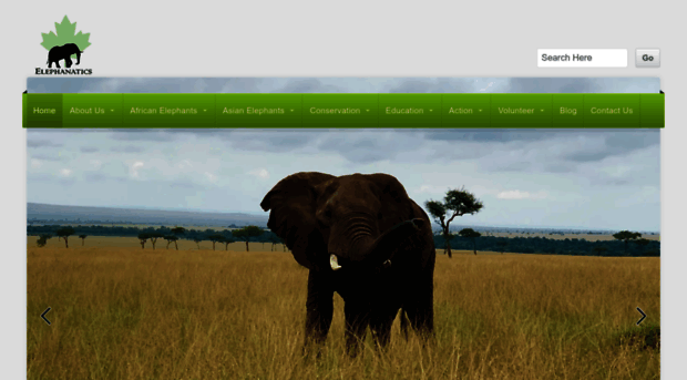 elephanatics.org