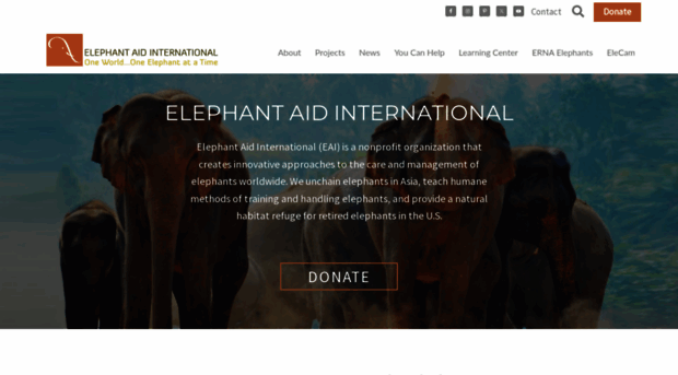 elephantaidinternational.org