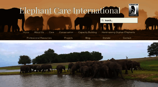 elephantcare.org