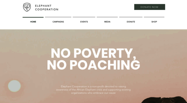 elephantcooperation.com