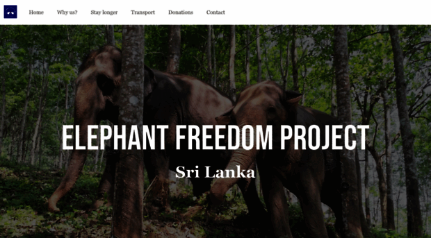 elephantfreedomproject.com