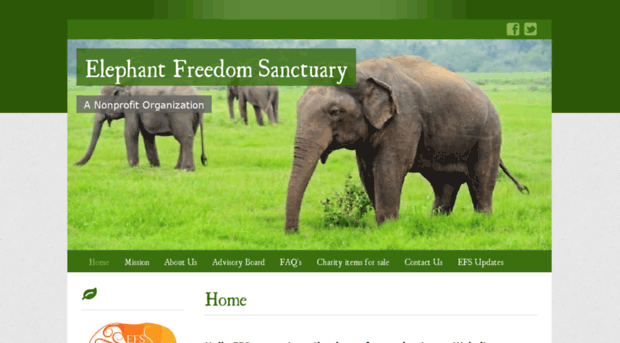 elephantfreedomsanctuary.org