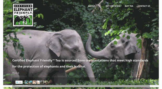 elephantfriendlytea.com