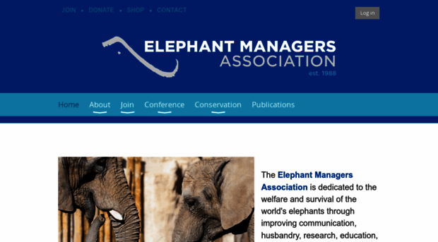 elephantmanagers.com