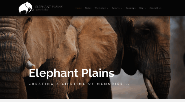 elephantplains.co.za