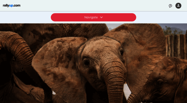 elephants.amivitale.com