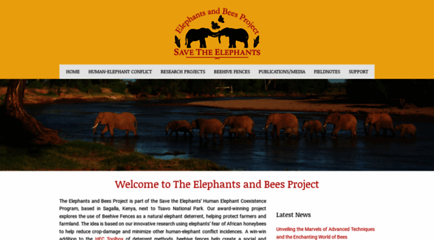 elephantsandbees.com