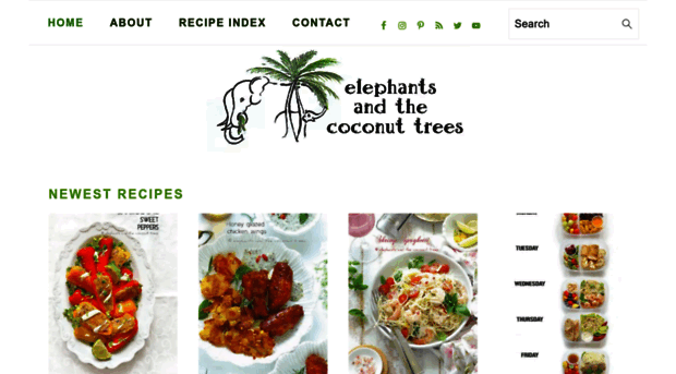 elephantsandthecoconuttrees.com