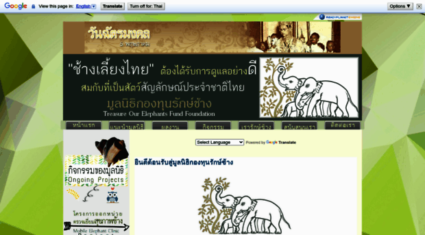 elephantsfund.org