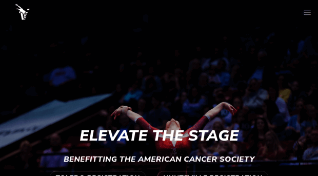 elevatethestage.com