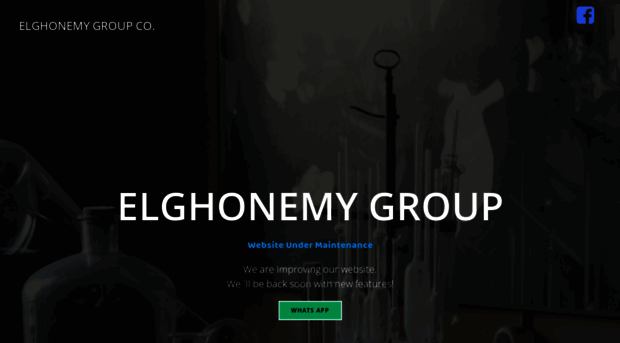 elghonemy.com.eg