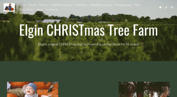 elginchristmastreefarm.com