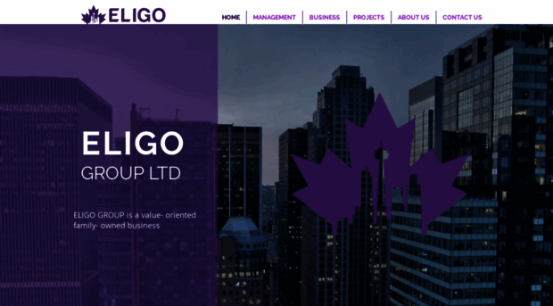 eligogroup.com