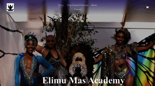 elimumasacademy.com