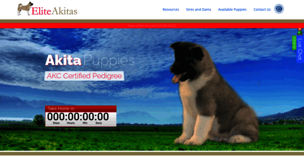 eliteakitas.com