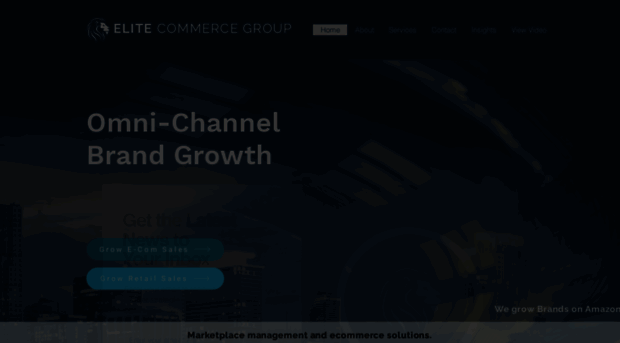 elitecommercegroup.com