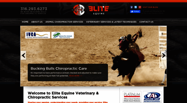 eliteequineks.com