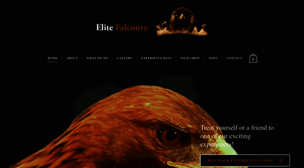 elitefalconry.com