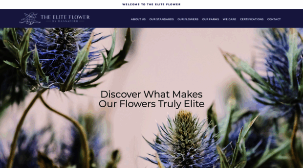 eliteflower.com