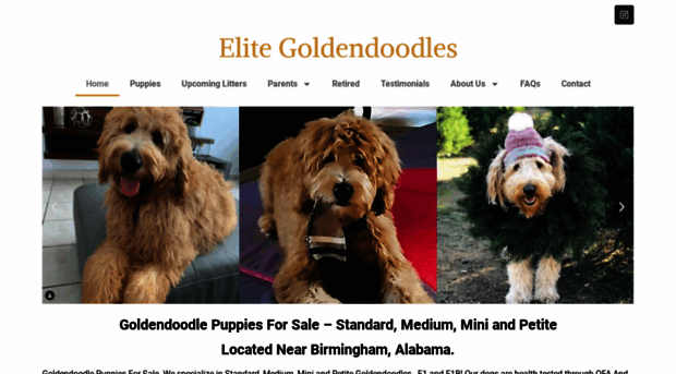 elitegoldendoodles.com