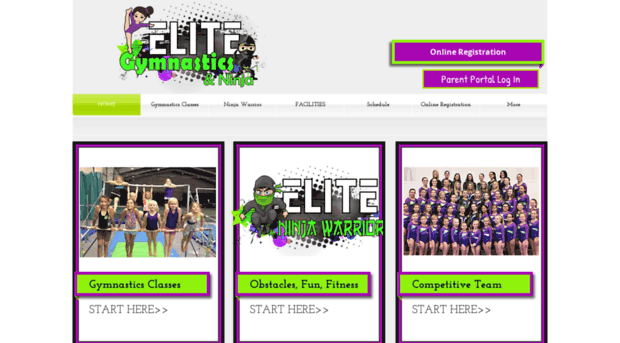 elitegymnasticsandcheer.com