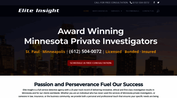 eliteinsight.com