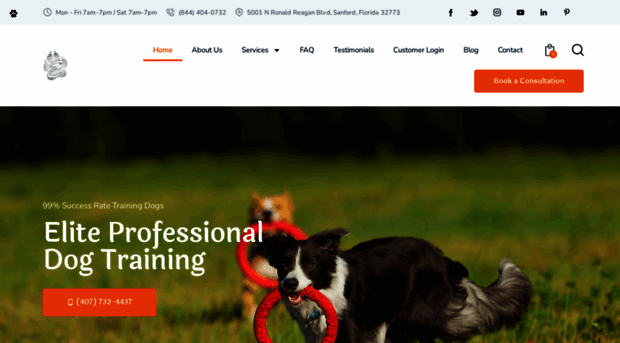 eliteprodogtraining.com