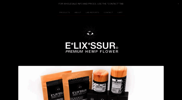 elixssur.com