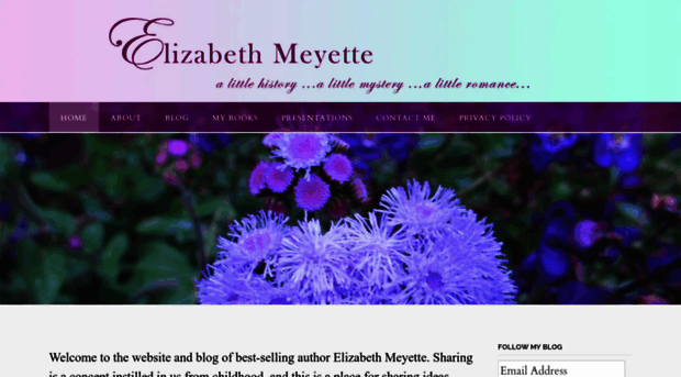 elizabethmeyette.com