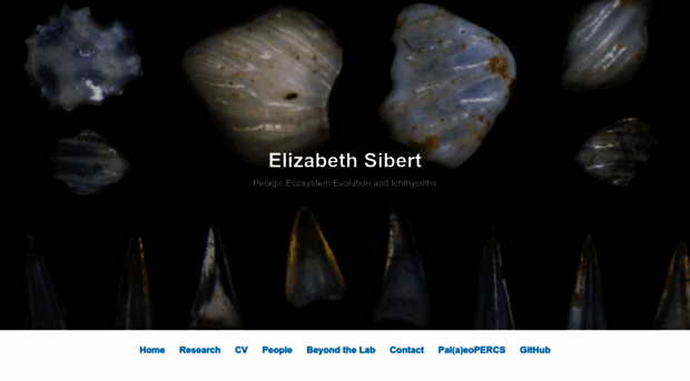 elizabethsibert.com