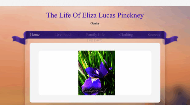 elizalucaspinckney.weebly.com