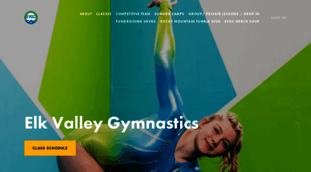 elkvalleygymnastics.com