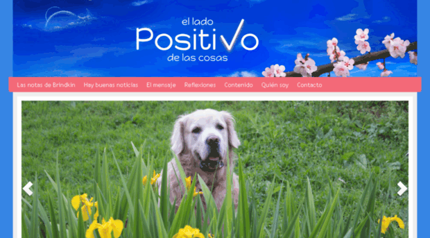 elladopositivodelascosas.com