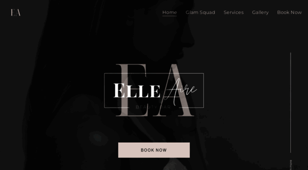 elleairebuffalo.com