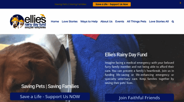 elliesrainydayfund.org