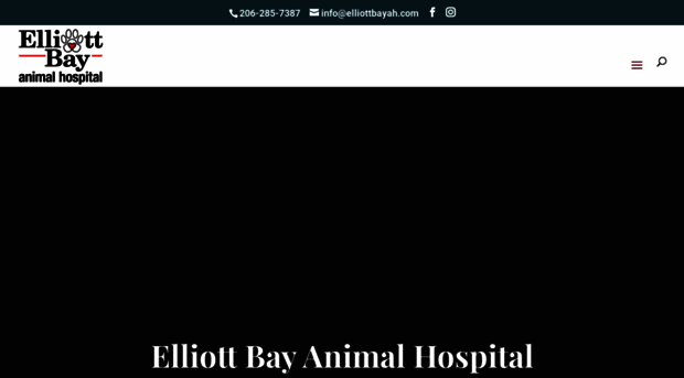 elliottbayah.com