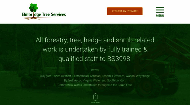 elmbridgetreeservices.co.uk