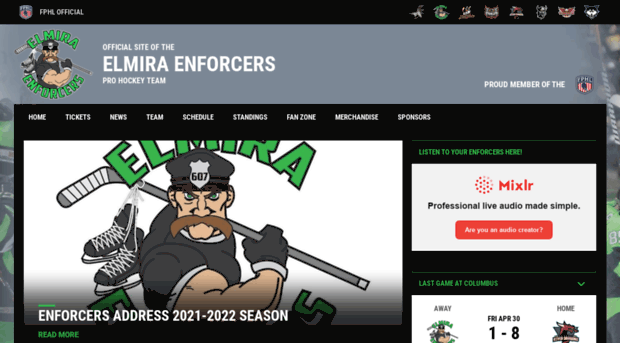 elmiraenforcers.com