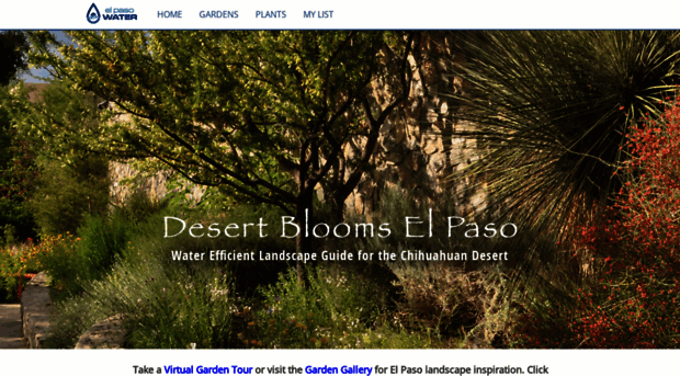 elpasodesertblooms.org