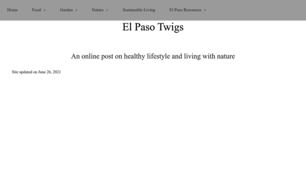 elpasotwigs.com