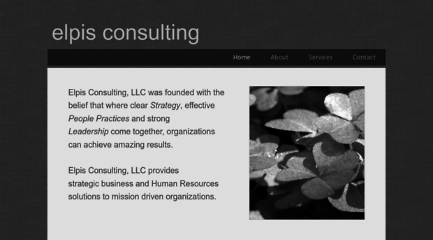 elpisconsultingllc.com