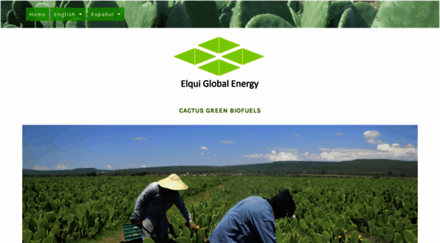 elquiglobalenergy.com