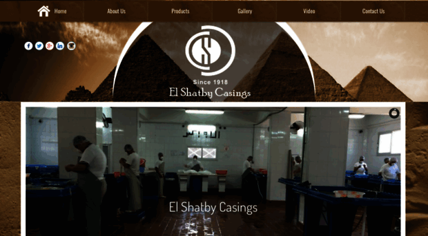 elshatbycasings.com