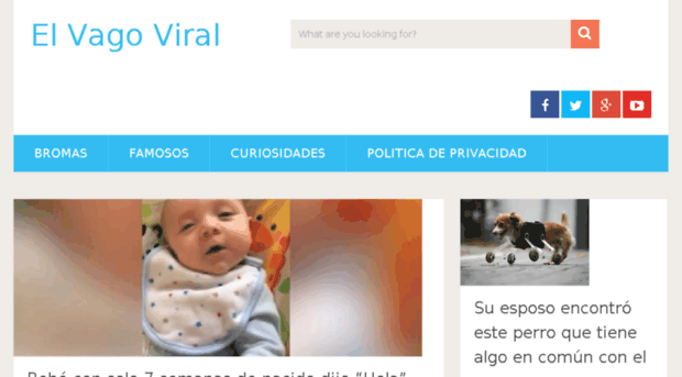 elvagoviral.com