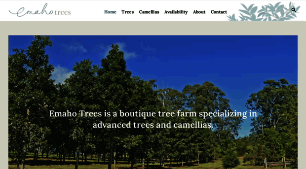 emahotrees.com.au