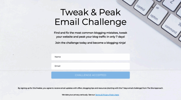 emailchallenge.thesheapproach.com