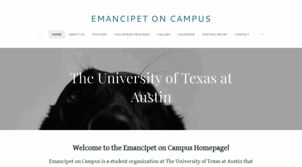 emancipetoncampus.weebly.com