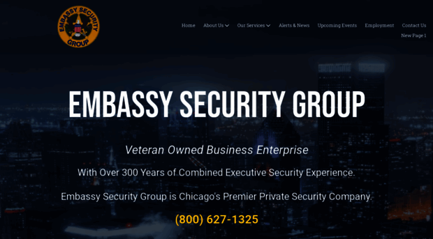 embassysecurity.net