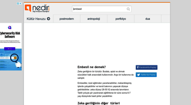 embesil.nedir.com