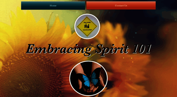 embracingspirits.com